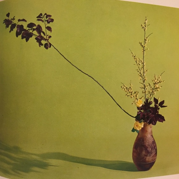 pinkanthurium